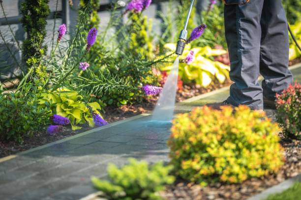 Best Fence Cleaning  in Cadott, WI